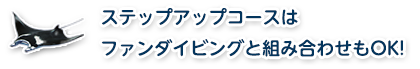 ステップアップコースはファンダイビングと組み合わせもOK!