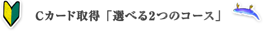 Cカード取得「選べる2つのコース」