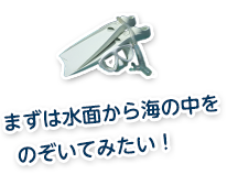 まずは水面から海の中をのぞいてみたい！