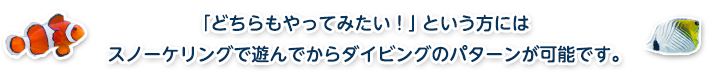 「どちらもやってみたい！」という方にはスノーケリングで遊んでからダイビングのパターンが可能です。