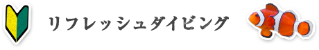 リフレッシュダイビング