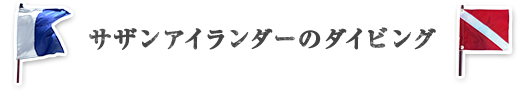 サザンアイランダーのダイビング