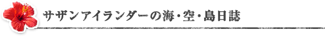 サザンアイランダーの海・島・空日誌
